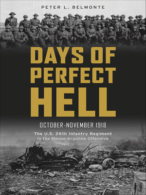 cover image of Days of Perfect Hell